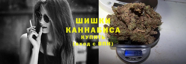 крисы Надым