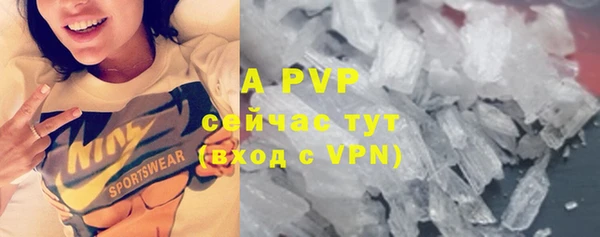 индика Наволоки