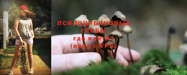 PSILOCYBIN Баксан