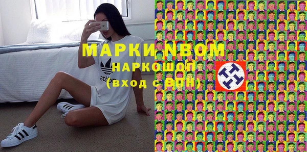 крисы Надым
