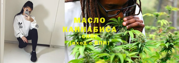 крисы Надым