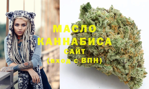 крисы Надым
