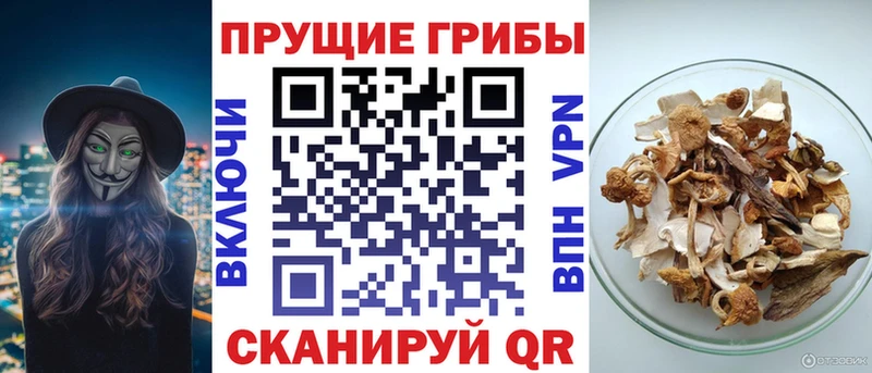 наркотики Шадринск Галлюциногенные грибы мицелий