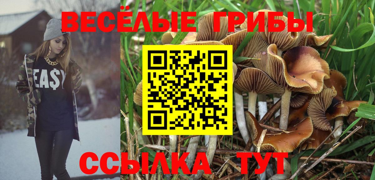 ГАШИШ Шадринск