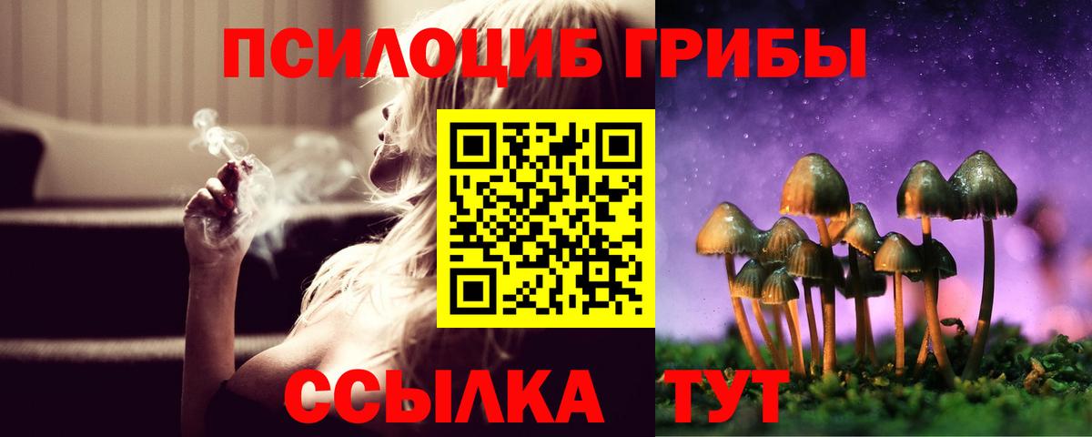 Псилоцибиновые грибы GOLDEN TEACHER  Вход с VPN  Шадринск  Галлюциногенные грибы прущие грибы 